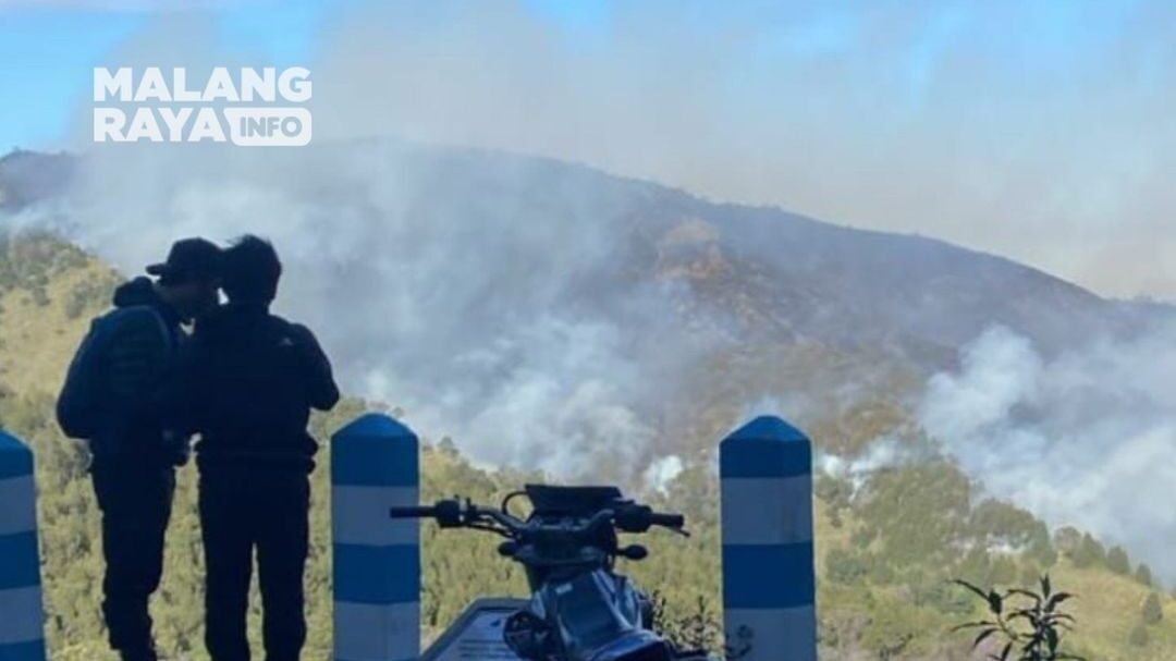 Kebakaran Taman Nasional Bromo Tengger Semeru Dusun Kandang Sari Desa Mororejo Kecamatan Tosari Kabupaten Pasuruan Jawa Timur