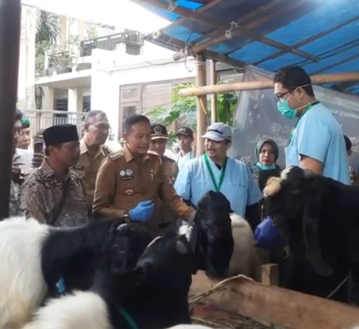 Wali Kota Malang Cek Hewan Kurban