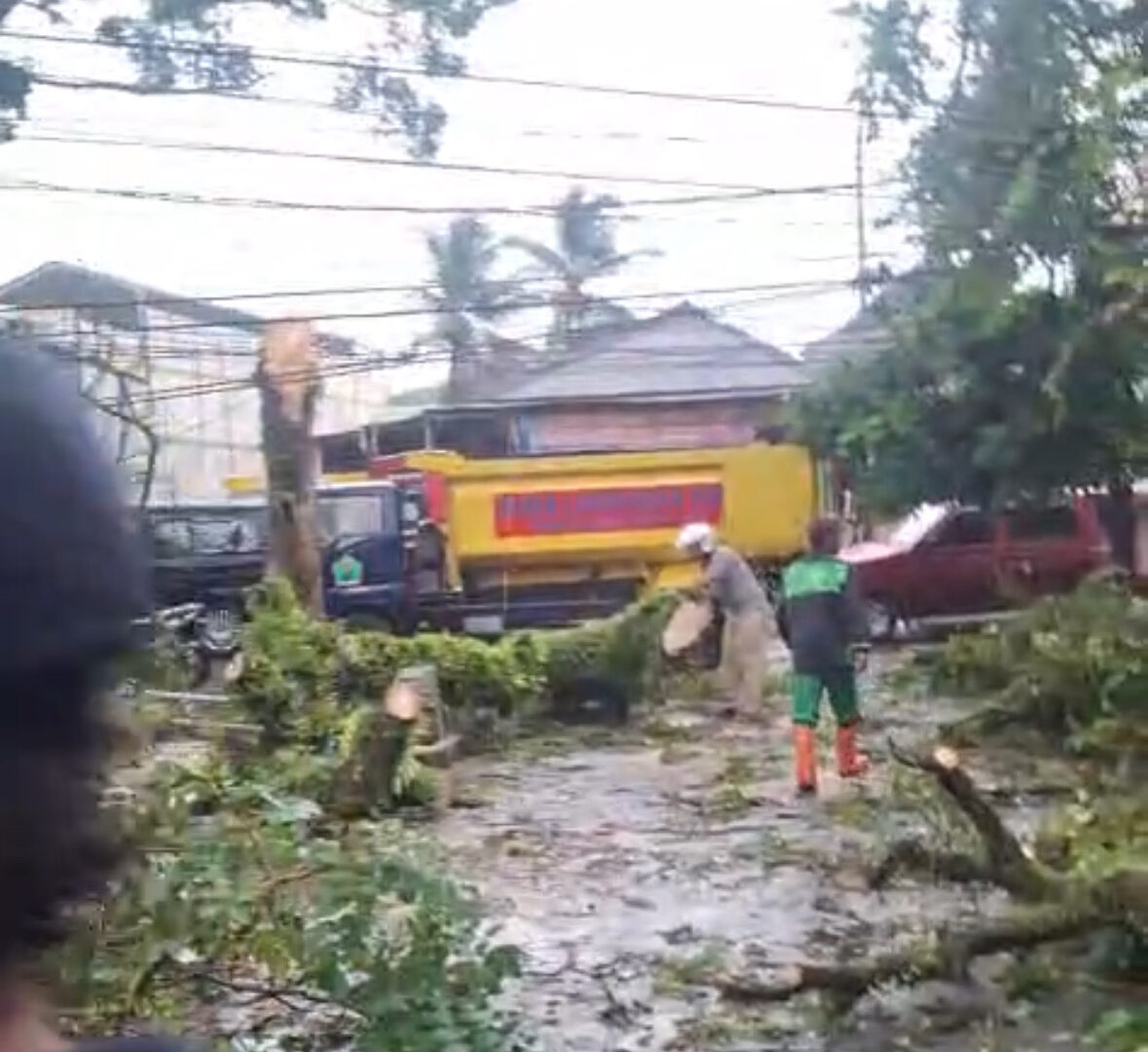 Petugas BPBD Evakuasi Pohon Tumbang Akibat Angin Kencang Di Kota Malang