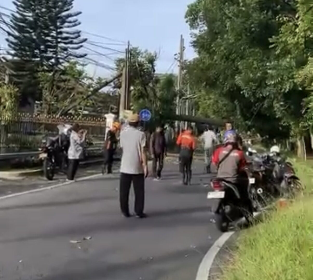 Petugas Mengevakuasi Pohon Tumbang Akibat Angin Kencang Di Jalan Jakarta, Kota Malang