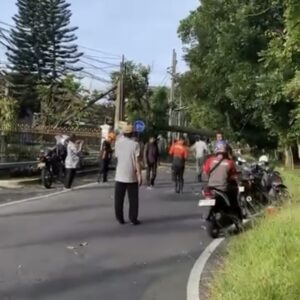 Petugas Mengevakuasi Pohon Tumbang Akibat Angin Kencang Di Jalan Jakarta, Kota Malang