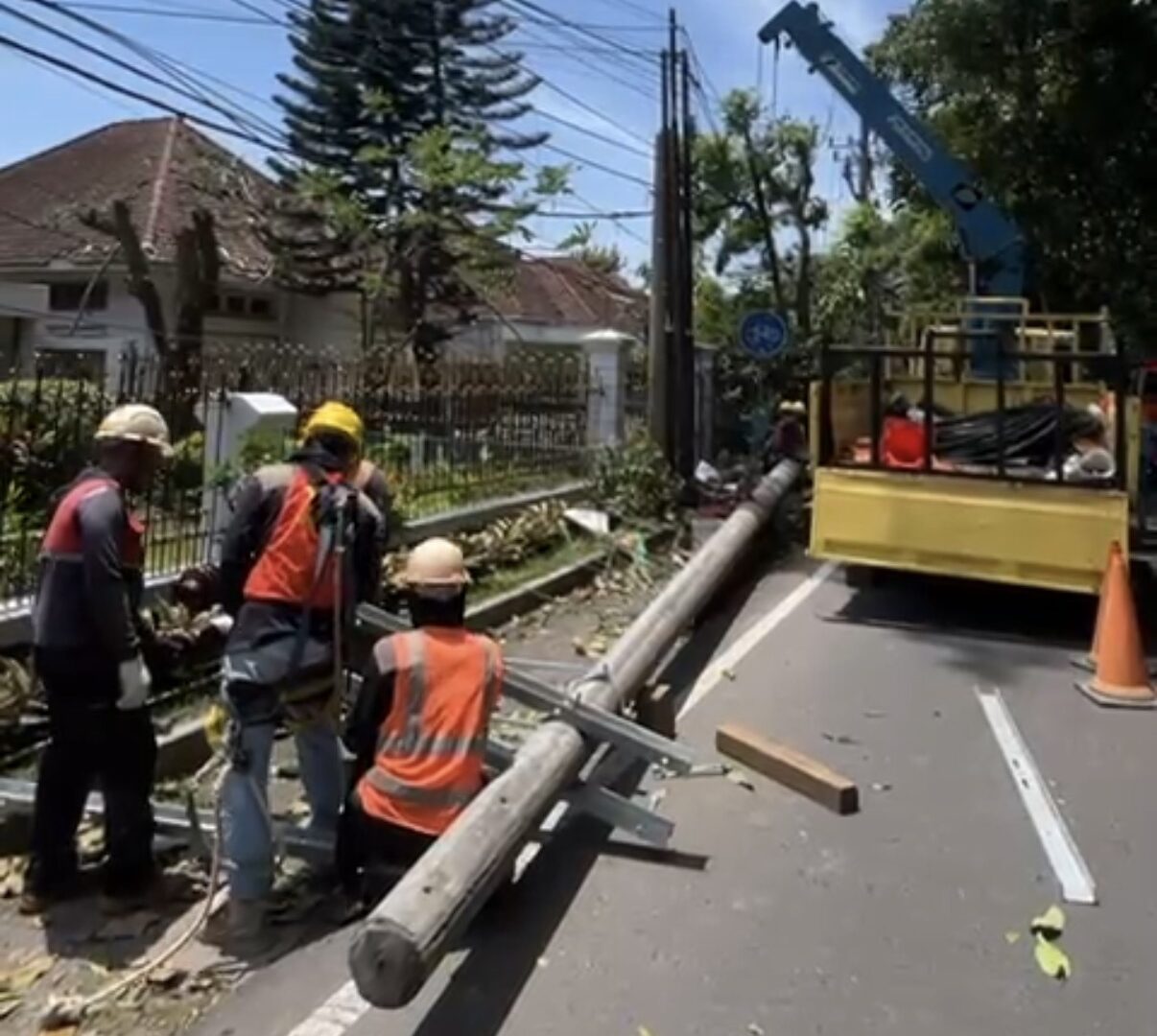 Petugas Melakukan Perbaikan Tiang Listrik Di Jalan Jakarta Malang Akibat Pohon Tumbang