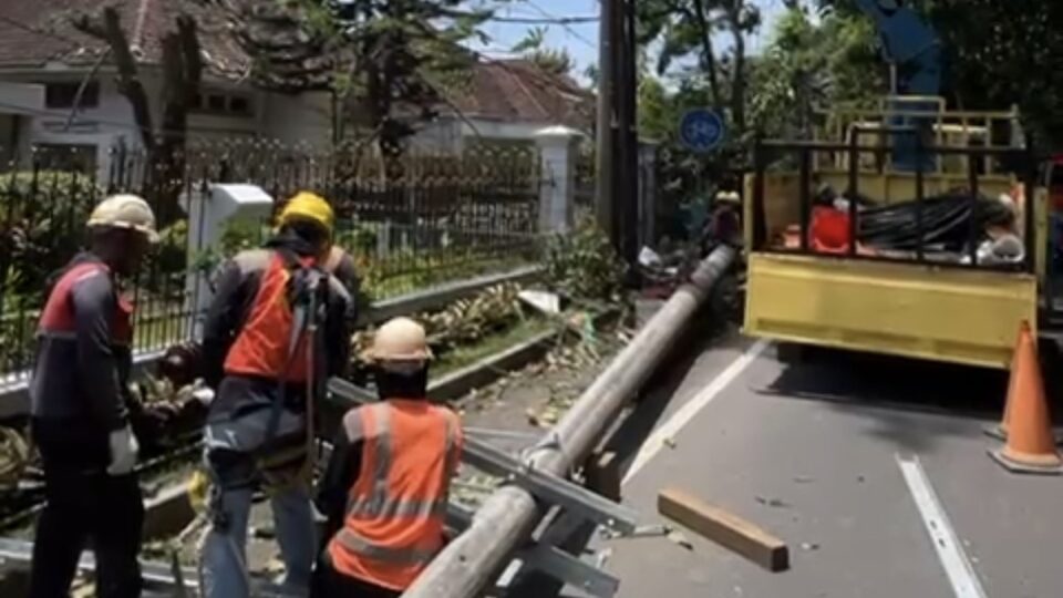 Petugas Melakukan Perbaikan Tiang Listrik Di Jalan Jakarta Malang Akibat Pohon Tumbang