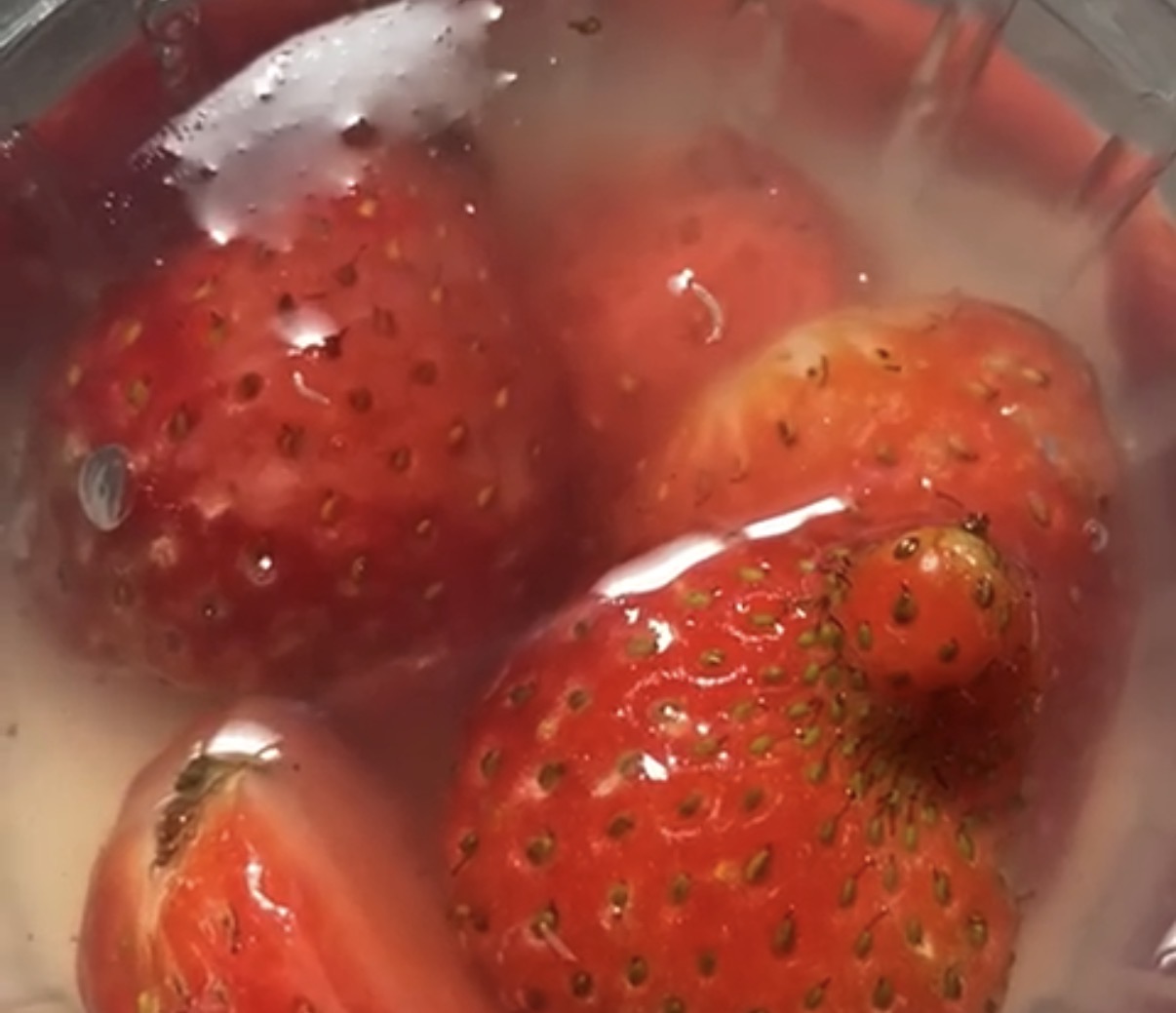 Puding Stroberi Menu MBG Yang Dikeluhkan Di Sekolah Lowokwaru Kota Malang