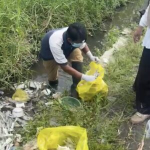 Petugas Mengevakuasi Limbah Medis Di Saluran Irigasi Bumiayu Kota Malang