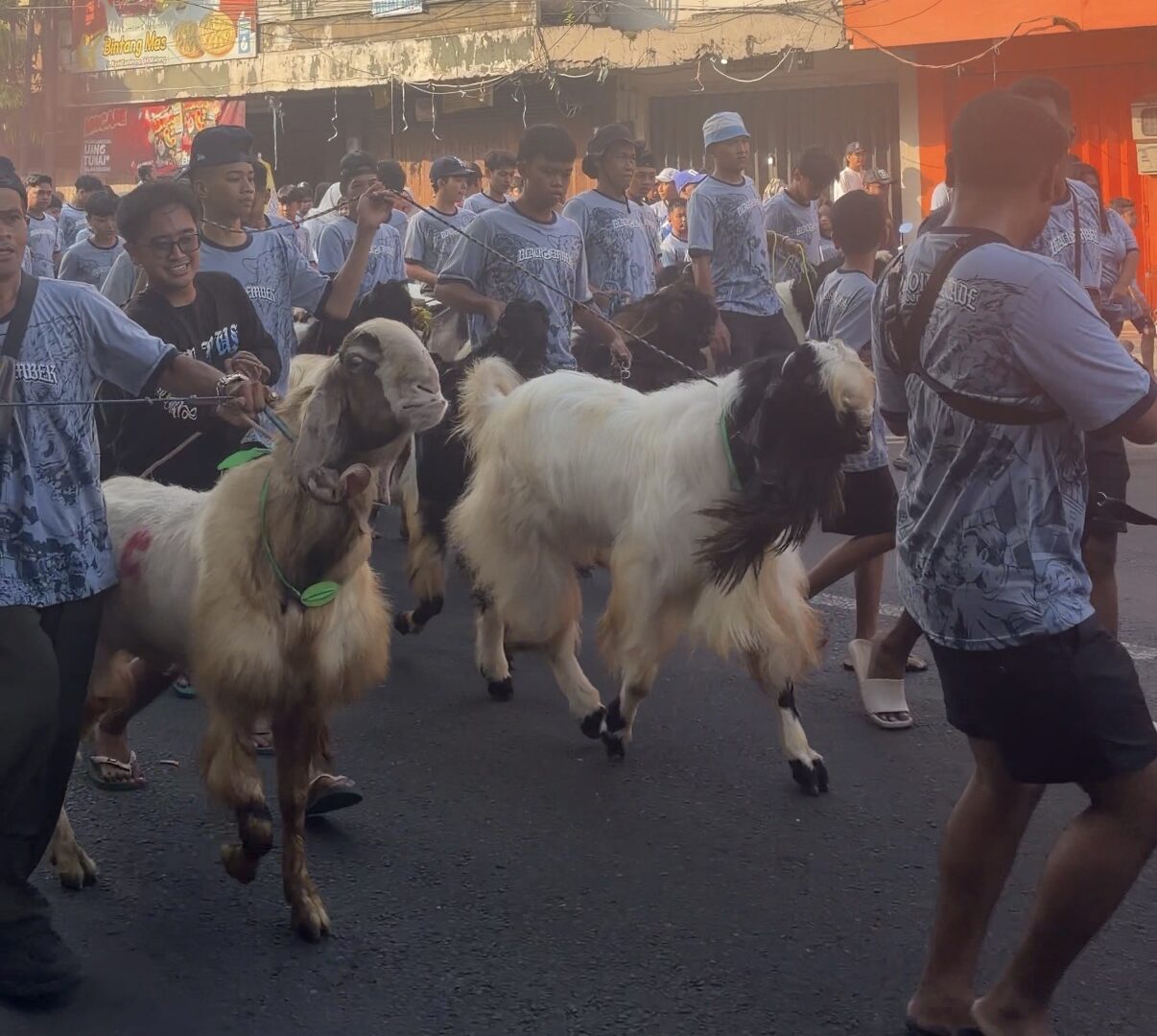 Arak-arakan Kambing Kurban Di Kidul Pasar Malang
