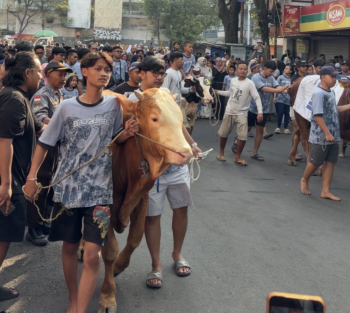 Tradisi Arak-arakan Hewan Kurban Saat Iduladha Di Kota Malang